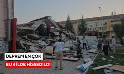 AFAD: "Deprem en çok Balıkesir, İzmir, Manisa ve İstanbul illerinde hissedilmiştir"