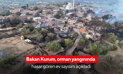 Bakan Kurum, orman yangınında hasar gören ev sayısını açıkladı