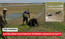 Katırlarını kurtarmak isterken kendisi de battı