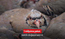 Genel Müdürlük açıkladı: son 10 yılda 1 milyona yakın keklik doğaya salındı