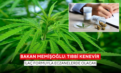 Bakan Memişoğlu 'Tıbbi kenevir ilaç formuyla eczanelerde olacak'