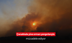 Çanakkale yine orman yangınlarıyla mücadele ediyor