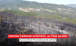 Orman yangını kontrol altına alındı... Alevlerle mücadelede zafer !