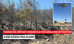 Manisa'da orman yangınıyla mücadele devam ediyor