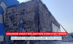 Organize Sanayi Bölgesi'nde korkutan yangın