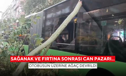 Sağanak ve fırtına sonrası can pazarı... Otobüsün üzerine ağaç devrildi