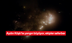 Aydın Köşk’te orman yangını! Rüzgar alevleri yaydı, söndürme çalışmaları sürüyor
