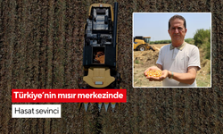 Çiftçiler alım fiyatı için gün sayıyor... Türkiye’nin mısır merkezi hasat sevinci | Rekolte 1,5 milyon ton bekleniyor
