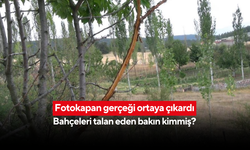 Fotokapan gerçeği ortaya çıkardı! Bahçeleri talan eden bakın kimmiş?