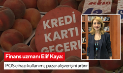 Finans uzmanı Elif Kaya: POS cihazı kullanımı, pazar alışverişini artırır