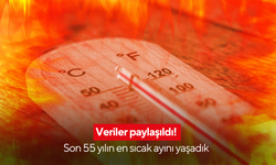 Veriler paylaşıldı! Son 55 yılın en sıcak ayını yaşadık