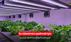 Su tüketimini azaltmak için susuz tarımın önemi artıyor | Tarımsal çöküş kapıda!