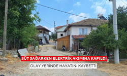 Süt sağarken elektrik akımına kapıldı, olay yerinde hayatını kaybetti