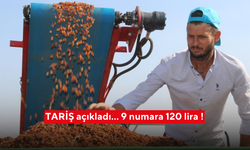TARİŞ açıkladı… 9 numara 120 lira !
