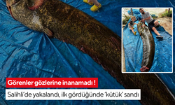 Görenler gözlerine inanamadı ! Salihli’de yakalandı, ilk gördüğünde ‘kütük’ sandı
