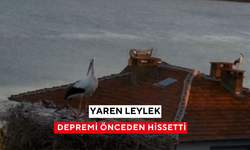 Yaren Leylek depremi önceden hissetti