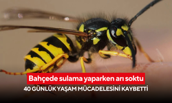 Bahçede sulama yaparken arı soktu: 40 günlük yaşam mücadelesini kaybetti