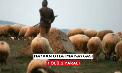 Hayvan otlatma kavgasında kan aktı: 1 ölü, 2 yaralı