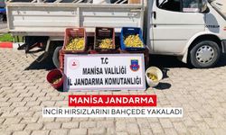 Manisa'da 135 kilo incir çalarken suçüstü yakalandılar