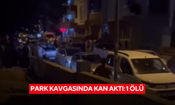 Park kavgasında kan aktı: 1 ölü