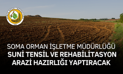 SOMA ORMAN İŞLETME MÜDÜRLÜĞÜ SUNİ TENSİL VE REHABİLİTASYON ARAZİ HAZIRLIĞI İŞİ