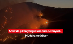 Söke’de makilik ve ormanlık alanda yangın... Ekipler seferber oldu