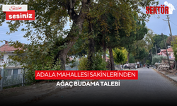Adala Mahallesi sakinlerinden ağaç budama talebi