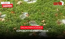 Salihli’nin gözdesi Gümüşçayı’nda duyarsızlık