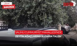 Salihli Cumhuriyet Mahallesi’nde zeytin ağaçlarına budama talebi