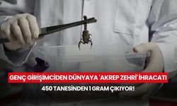 Genç girişimciden dünyaya 'Akrep Zehri' ihracatı: 450 tanesinden 1 gram çıkıyor!
