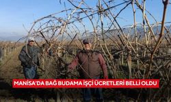 Manisa’da bağ budama işçi ücretleri belli oldu