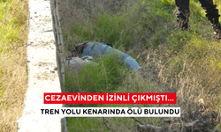 Cezaevinden izinli çıktı… Saatler sonra başından vurulmuş halde bulundu