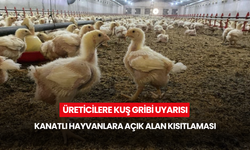 Üreticilere kuş gribi uyarısı... Kanatlı hayvanlara açık alan kısıtlaması