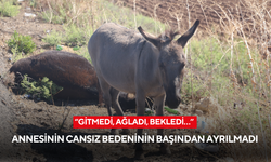 “Gitmedi, ağladı, bekledi…” Annesinin cansız bedeninin başından ayrılmadı