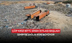 Çöp krizi bitti, sinek istilası başladı: İzmir’de sağlık riski büyüyor
