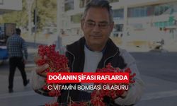 Halk arasında "gençlik iksiri" olarak adlandırılan gilaburu tezgahlarda yerini aldı...