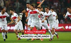 A Milli Takım'ın aday kadrosu belli oldu! Montella kararını verdi