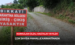 Korkulan oldu, hastalık yayıldı! Çok sayıda mahalle karantinada
