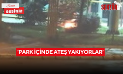 ‘Park içinde ateş yakıyorlar’