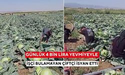 Rekor yevmiyeye rağmen işçi yok! Çiftçinin isyan videosu kısa sürede gündem oldu