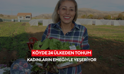 Köyden dünyaya... 24 ülkenin tohumları kadın kooperatifiyle can buluyor