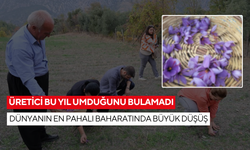 Üretim azaldı, fiyat uçtu! Dünyanın en pahalı baharatında büyük düşüş...