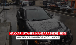 Hakkari uyandı, manzara değişmişti... Yüksek kesimlerde yoğun kar!