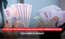 Son tarih 31 Aralık! e-Devlet’ten başvuru yapanlar yeni yılda kazanç sağlayacak