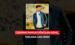 Üzerine pamuk dökülen genç, tarlada can verdi