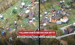 Yılların emeği bir gecede bitti! Köylüyü altüst eden saldırı...