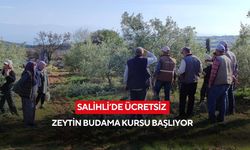 Salihli’de zeytin ağaçları için doğru budama eğitimi başlıyor