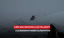 2 bin 300 rakımda çığ felaketi: 3 çobandan haber alınamıyor