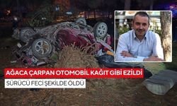 Ağaca çarpan otomobil kağıt gibi ezildi: Sürücü feci şekilde öldü