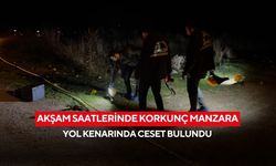 Akşam saatlerinde korkunç manzara: Yol kenarında ceset bulundu